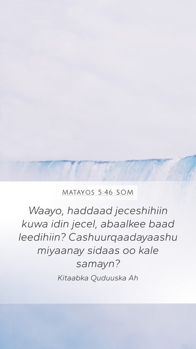 Matayos 5:46 SOM Bible Verse Image