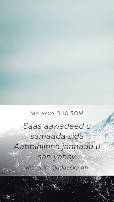 Matayos 5:48 SOM Bible Verse Image