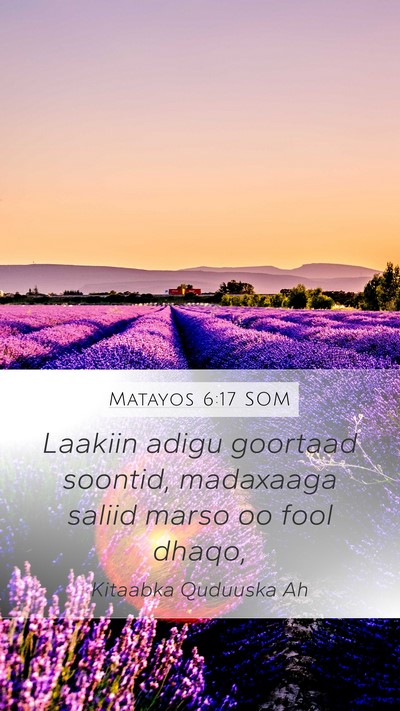 Matayos 6:17 SOM Mobile Phone Wallpaper - Laakiin adigu goortaad soontid, madaxaaga saliid - Mobile Bible Verse Wallpaper