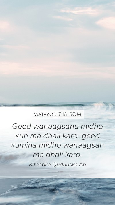 Matayos 7:18 SOM Mobile Phone Wallpaper - Geed wanaagsanu midho xun ma dhali karo, geed - Mobile Bible Verse Wallpaper