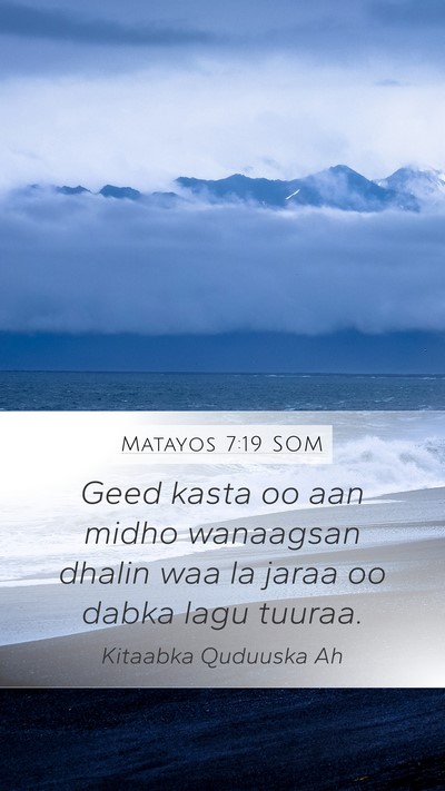 Matayos 7:19 SOM Bible Verse Image
