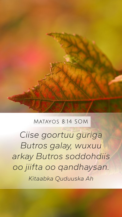 Matayos 8:14 SOM Bible Verse Image