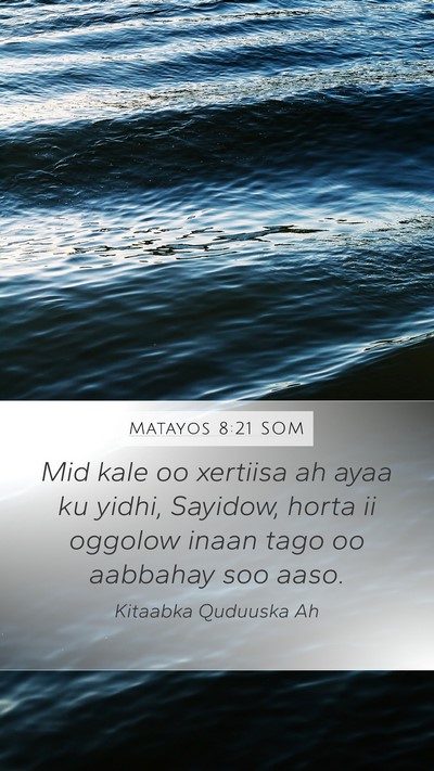 Matayos 8:21 SOM Bible Verse Image