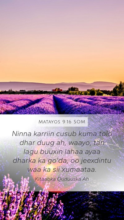 Matayos 9:16 SOM Bible Verse Image