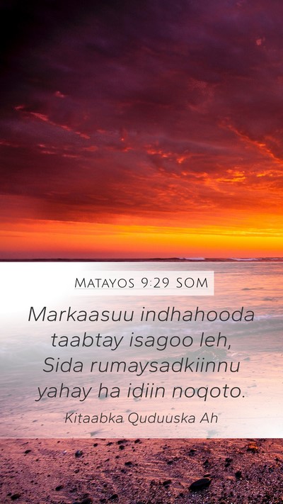 Matayos 9:29 SOM Bible Verse Image