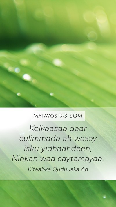 Matayos 9:3 SOM Bible Verse Image