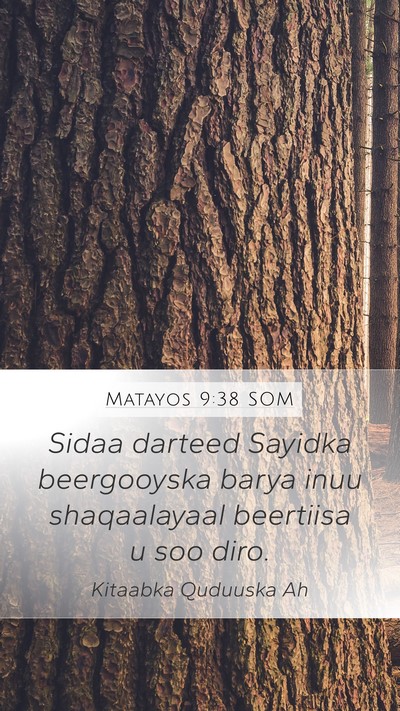 Matayos 9:38 SOM Mobile Phone Wallpaper - Sidaa darteed Sayidka beergooyska barya inuu - Mobile Bible Verse Wallpaper