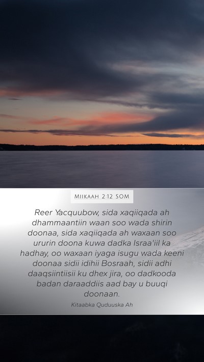 Miikaah 2:12 SOM Bible Verse Image