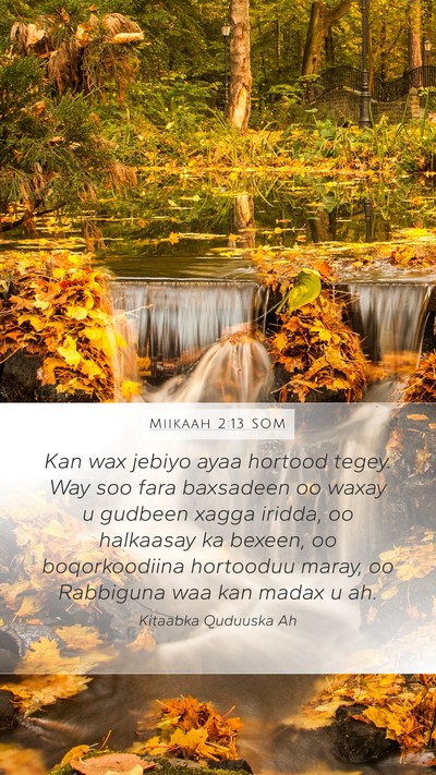 Miikaah 2:13 SOM Bible Verse Image