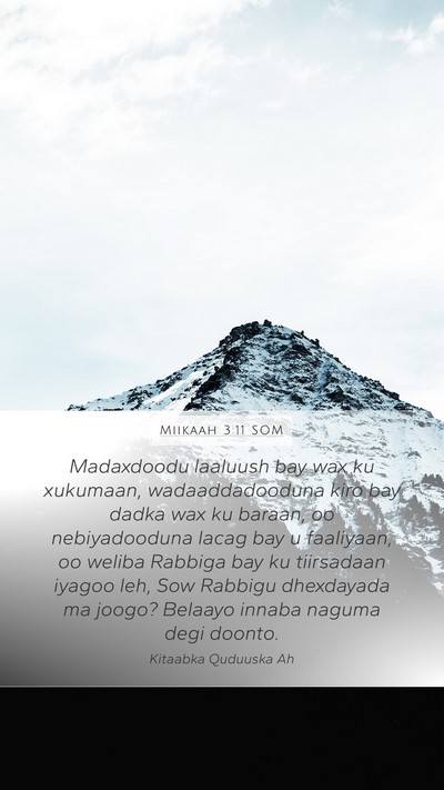 Miikaah 3:11 SOM Bible Verse Image