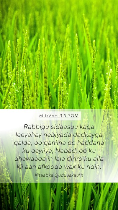 Miikaah 3:5 SOM Bible Verse Image