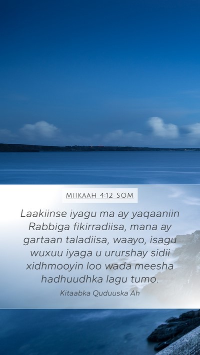 Miikaah 4:12 SOM Bible Verse Image