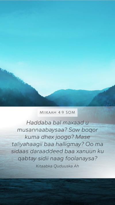Miikaah 4:9 SOM Bible Verse Image