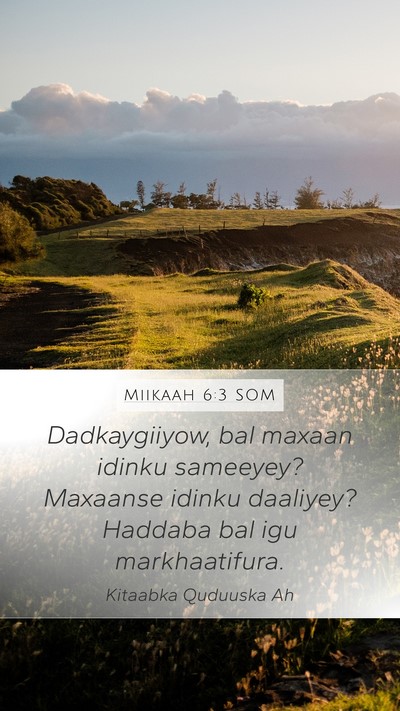 Miikaah 6:3 SOM Bible Verse Image