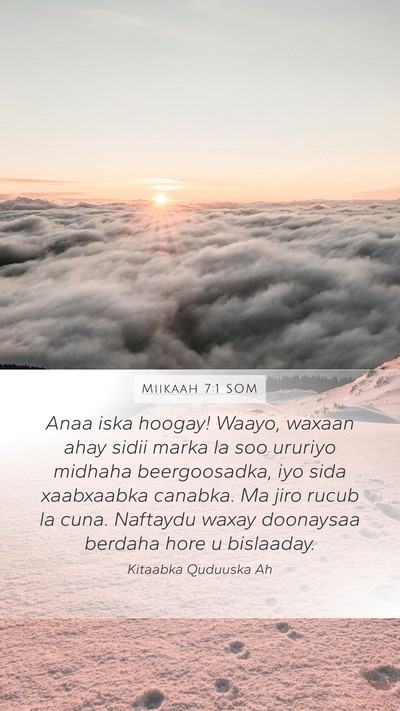 Miikaah 7:1 SOM Bible Verse Image
