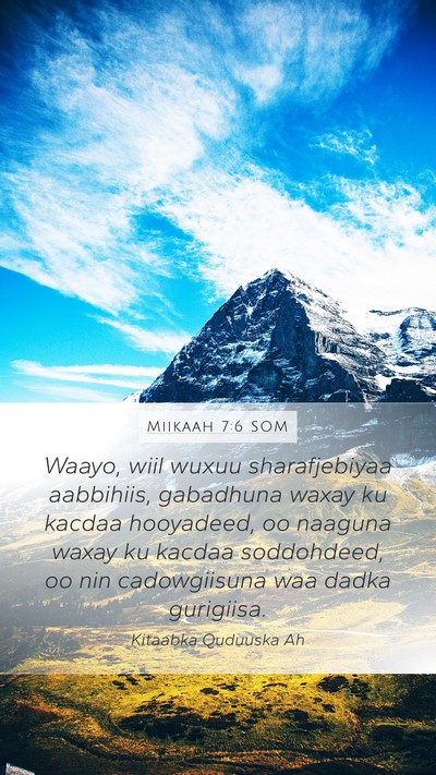 Miikaah 7:6 SOM Bible Verse Image