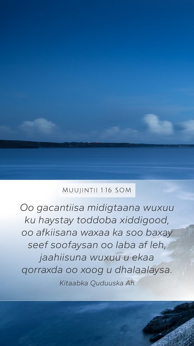 Muujintii 1:16 SOM Bible Verse Image