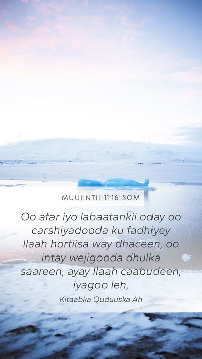 Muujintii 11:16 SOM Bible Verse Image