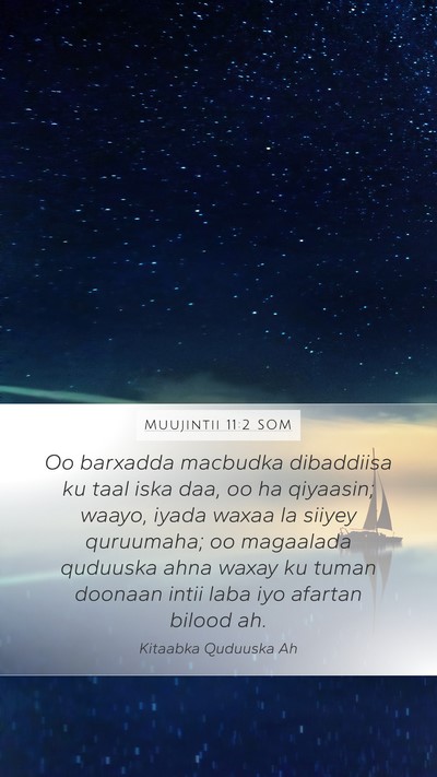 Muujintii 11:2 SOM Bible Verse Image