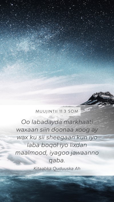 Muujintii 11:3 SOM Bible Verse Image