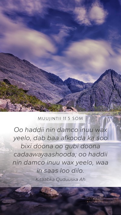Muujintii 11:5 SOM Bible Verse Image