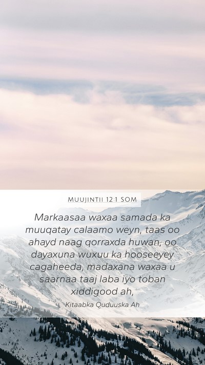 Muujintii 12:1 SOM Bible Verse Image