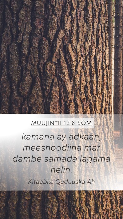 Muujintii 12:8 SOM Bible Verse Image