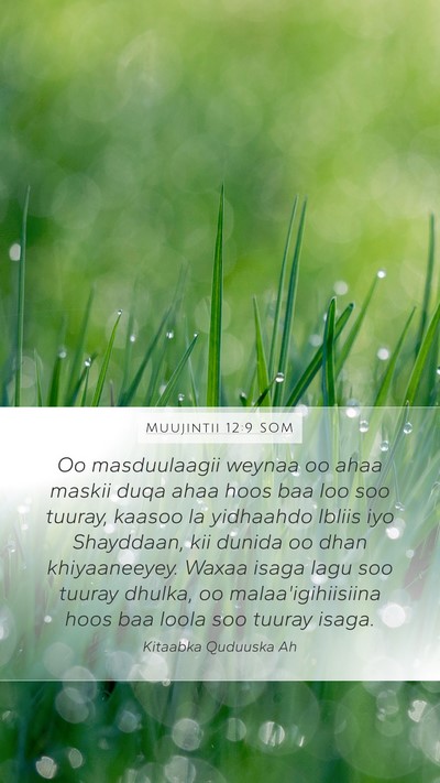 Muujintii 12:9 SOM Bible Verse Image