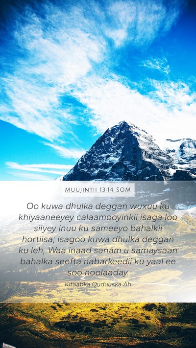 Muujintii 13:14 SOM Bible Verse Image