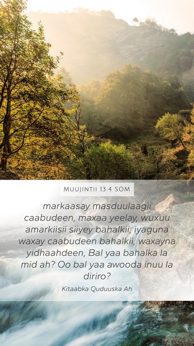 Muujintii 13:4 SOM Bible Verse Image