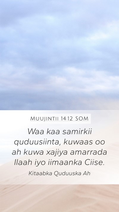 Muujintii 14:12 SOM Bible Verse Image