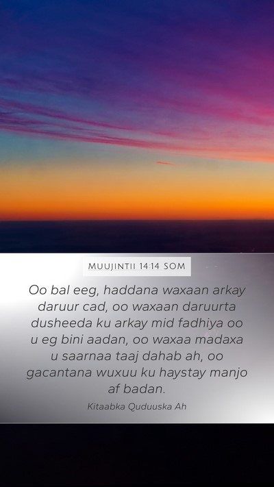 Muujintii 14:14 SOM Bible Verse Image