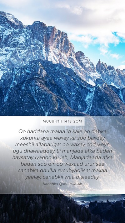 Muujintii 14:18 SOM Bible Verse Image