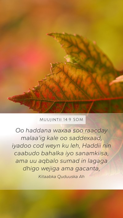 Muujintii 14:9 SOM Bible Verse Image
