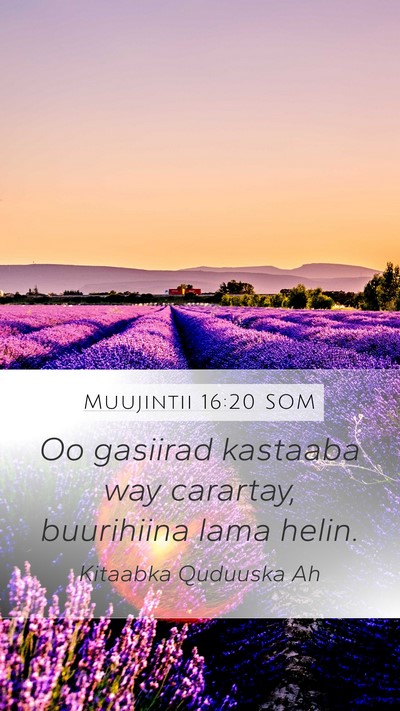 Muujintii 16:20 SOM Bible Verse Image