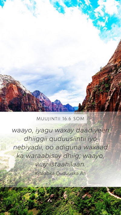 Muujintii 16:6 SOM Bible Verse Image