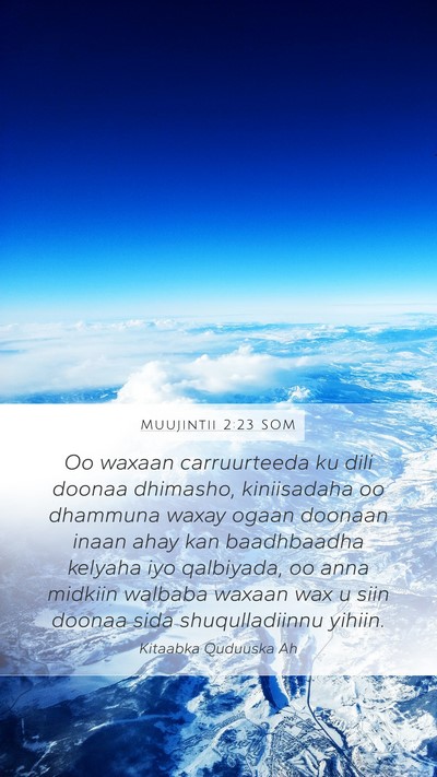 Muujintii 2:23 SOM Bible Verse Image