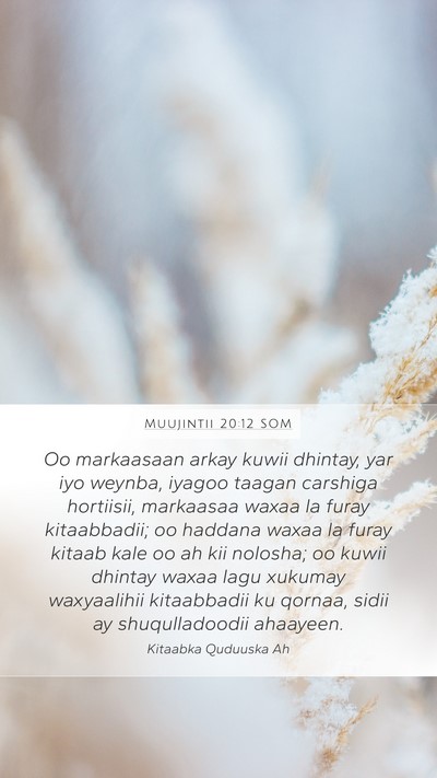 Muujintii 20:12 SOM Bible Verse Image