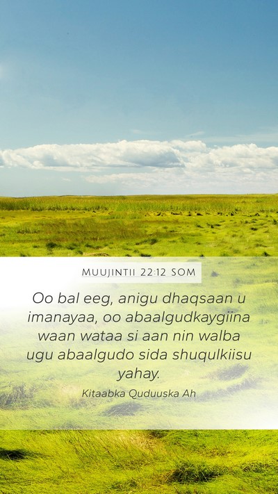 Muujintii 22:12 SOM Bible Verse Image