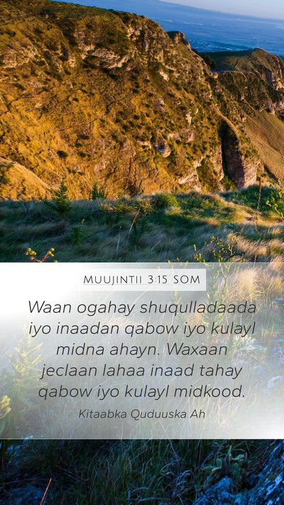 Muujintii 3:15 SOM Bible Verse Image