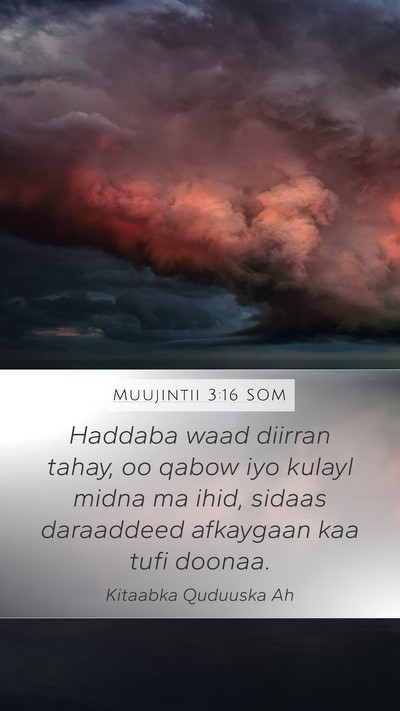 Muujintii 3:16 SOM Bible Verse Image