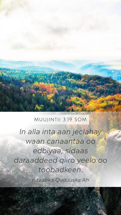 Muujintii 3:19 SOM Bible Verse Image