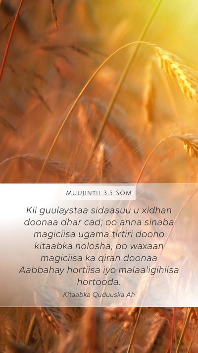 Muujintii 3:5 SOM Bible Verse Image