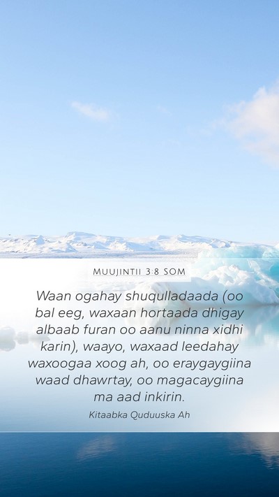 Muujintii 3:8 SOM Bible Verse Image