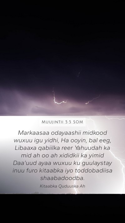 Muujintii 5:5 SOM Bible Verse Image