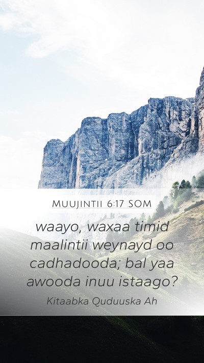 Muujintii 6:17 SOM Bible Verse Image