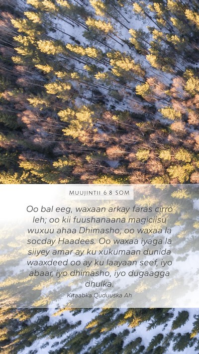 Muujintii 6:8 SOM Bible Verse Image