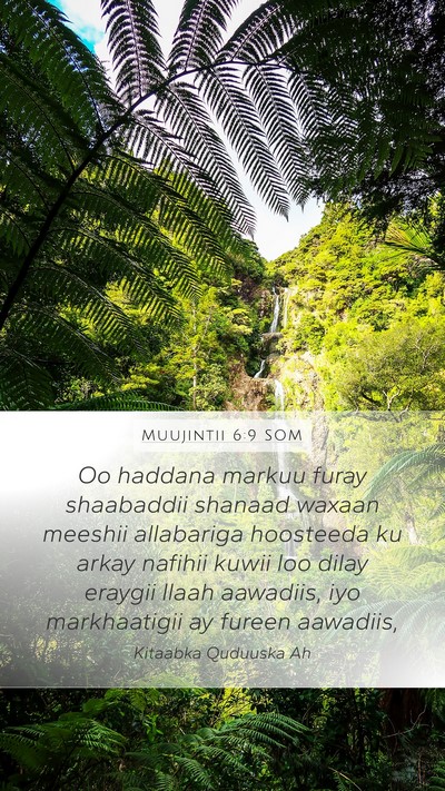 Muujintii 6:9 SOM Bible Verse Image