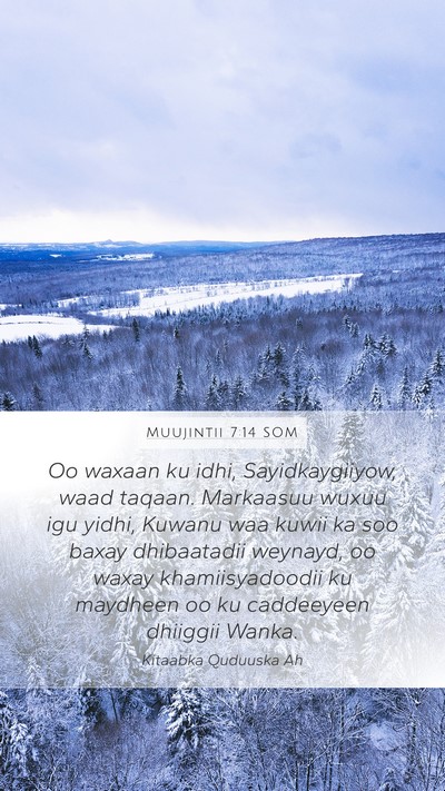 Muujintii 7:14 SOM Bible Verse Image