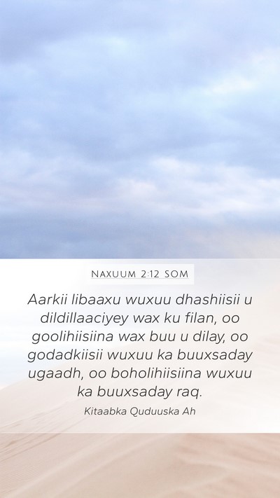 Naxuum 2:12 SOM Bible Verse Image